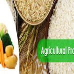 Top Agricultural Products of India