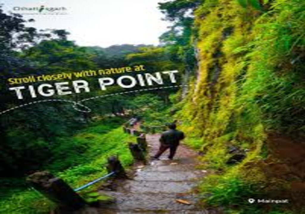Best Tourist Places to Visit in Mainpat : छतीसगढ़ का शिमला, झरने से लेकर जंगल का उठाएं लुत्फ
