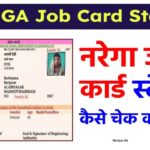 NREGA Job Card Status: नरेगा जॉब कार्ड स्टेटस ऐसे चेक करें ऑनलाइन